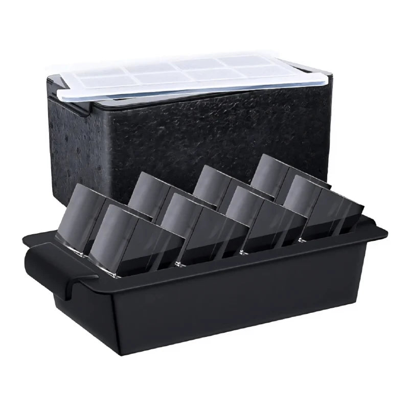 Molde para cubos de hielo transparente x8